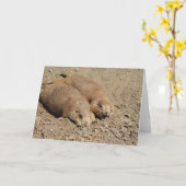 Grußkarte für den Yawning Prairie Hund Karte (Gelbe Blume)
