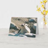 Grußkarte für Elephant Siegels Karte (Gelbe Blume)