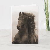 Grußkarte für Friese Karte (Vorderseite)