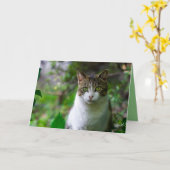 Grußkarte für Gartenkatzen Karte (Gelbe Blume)