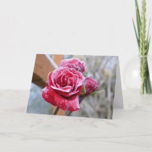 Grußkarte für gefrorene Rose Karte