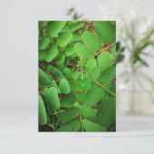 Grußkarte für grüne Blätter (Stehend Vorderseite)