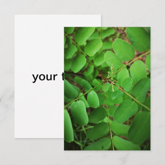 Grußkarte für grüne Blätter (Vorne/Hinten)