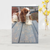 Grußkarte für Hunde Karte (Gelbe Blume)