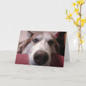 Grußkarte für Hunde Karte (Gelbe Blume)