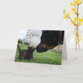 Grußkarte für Kitten und Hunde Karte (Gelbe Blume)