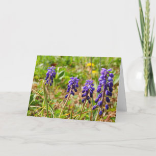 Grußkarte für lila Blume Karte