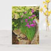 Grußkarte für lila Irisblume Karte (Gelbe Blume)