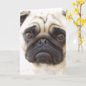 Grußkarte für Mops Karte (Gelbe Blume)