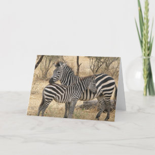 Grußkarte für Mutter und Baby Zebra Karte