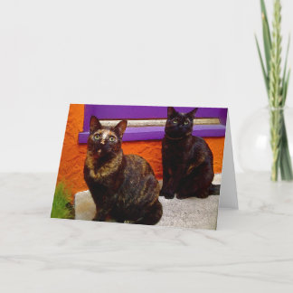 Grußkarte für mystische Affenkatzen Karte
