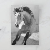 Grußkarte für Pferde - Anhalten Karte (Innenseite)