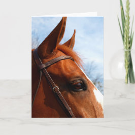 Grußkarte für Pferde im Foto Karte