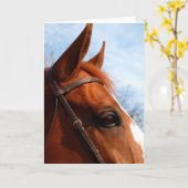 Grußkarte für Pferde im Foto Karte (Gelbe Blume)