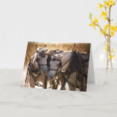 Grußkarte für Pferde in Harness Karte (Gelbe Blume)