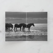 Grußkarte für Pferde - Vier Pferde bei Sonnenunter Karte (Innenseite)