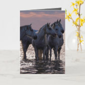 Grußkarte für Pferde - Vier Pferde bei Sonnenunter Karte (Gelbe Blume)