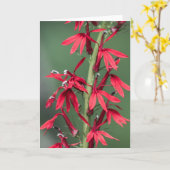Grußkarte für Red Kardinal Blume Karte (Gelbe Blume)