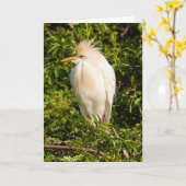 Grußkarte für Rinder Karte (Gelbe Blume)