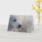 Grußkarte für Samoyed Hunde Karte (Gelbe Blume)