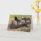 Grußkarte für Schweine Karte (Gelbe Blume)