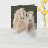 Grußkarte für Sinti und Roma Mare und Fohlen-Run-P Karte (Gelbe Blume)