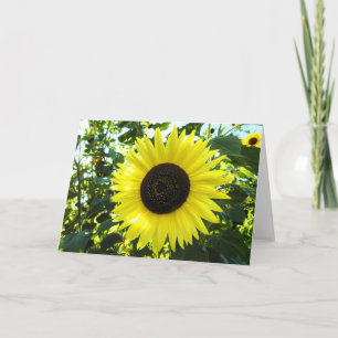 Grußkarte für Sonnenblumen Karte