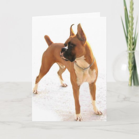 Grußkarte für Stehende Boxer Karte (Vorderseite)