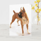 Grußkarte für Stehende Boxer Karte (Gelbe Blume)