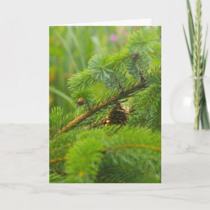 Grußkarte für versteckte Pine Cone Feiertagskarte