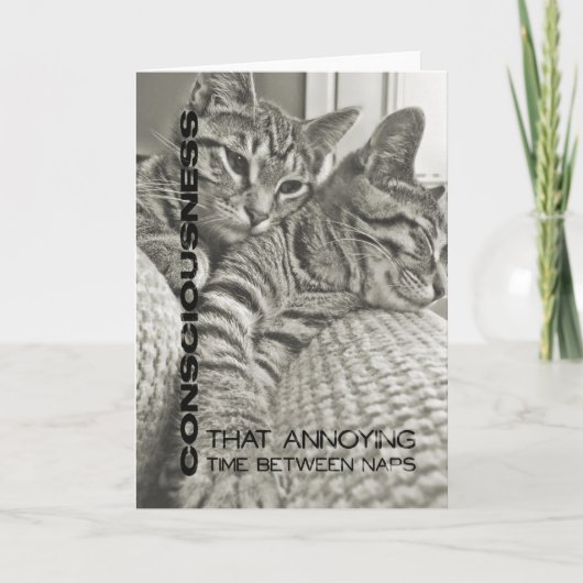 Grußkarte für vierzig WINKS Dankeskarte (Vorderseite)