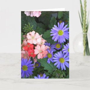 Grußkarte für Violett, Blau, Rosa und Korallenblüt Karte