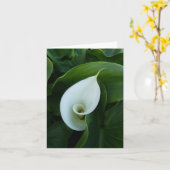 Grußkarte für weiße Calla-Blätter Karte (Gelbe Blume)