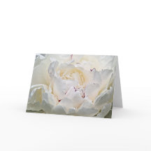 Grußkarte für weißes Peony Blank Foto