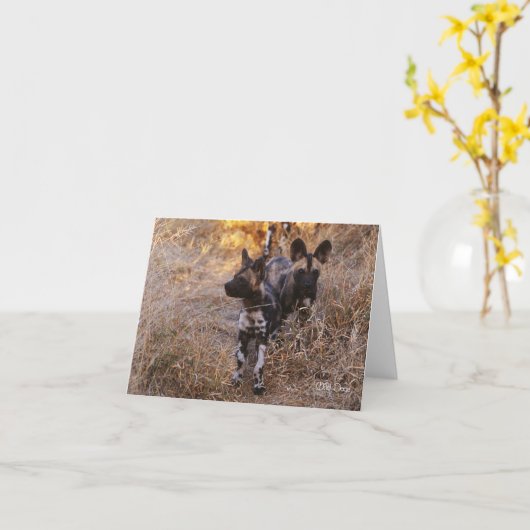 Grußkarte für wilde Hunde Karte (Gelbe Blume)