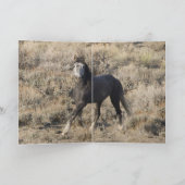 Grußkarte für Wildpferde Karte (Innenseite)