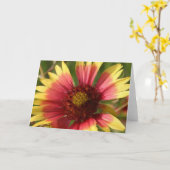 Grußkarte Gaillardia Karte (Gelbe Blume)