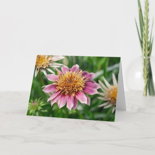 Grußkarte - Garden Beauty Park/Garten Karte (Vorderseite)