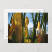 Grußkarte "Garden Sunset" Postkarte (Vorne/Hinten)