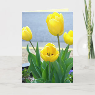 Grußkarte Gelbe Tulips Feiertagskarte