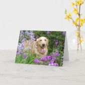 Grußkarte Goldener Retriever in Blume Karte (Gelbe Blume)
