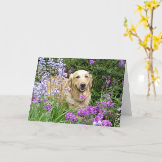 Grußkarte Goldener Retriever in Blume Karte (Gelbe Blume)