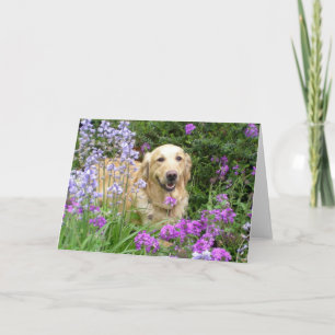 Grußkarte Goldener Retriever in Blume Karte