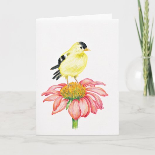 Grußkarte Goldfinch & Coneflower Karte (Vorderseite)