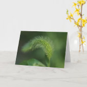 Grußkarte H Karte (Gelbe Blume)