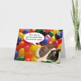 Grußkarte "Happy Oaster Rat" Feiertagskarte