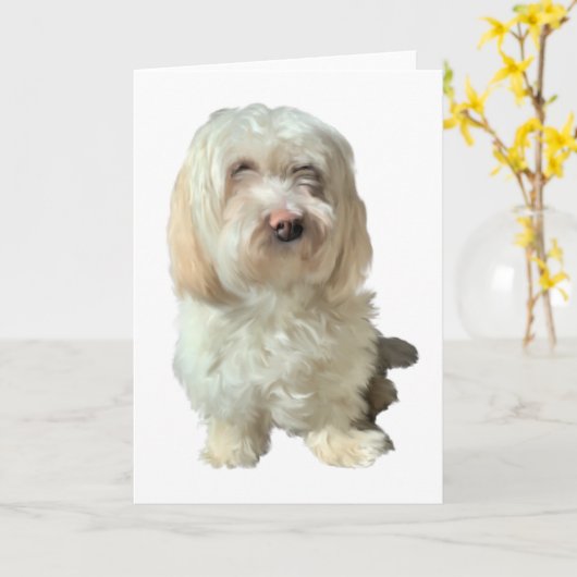 Grußkarte Havanese Hund Karte (Gelbe Blume)