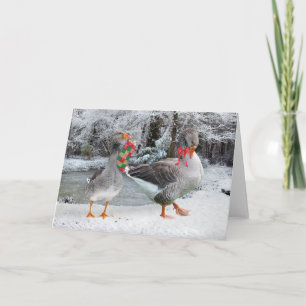 Grußkarte "Henri & Colette" Karte