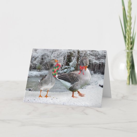 Grußkarte "Henri & Colette" Karte (Vorderseite)