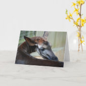 Grußkarte "Itchy Okapi" Karte (Gelbe Blume)